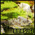 Amasugi