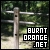 Burnt-orange.net